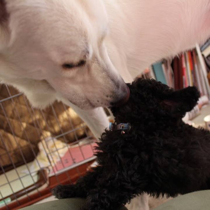 3240027e c438 47af bf7a ca303cc366d8