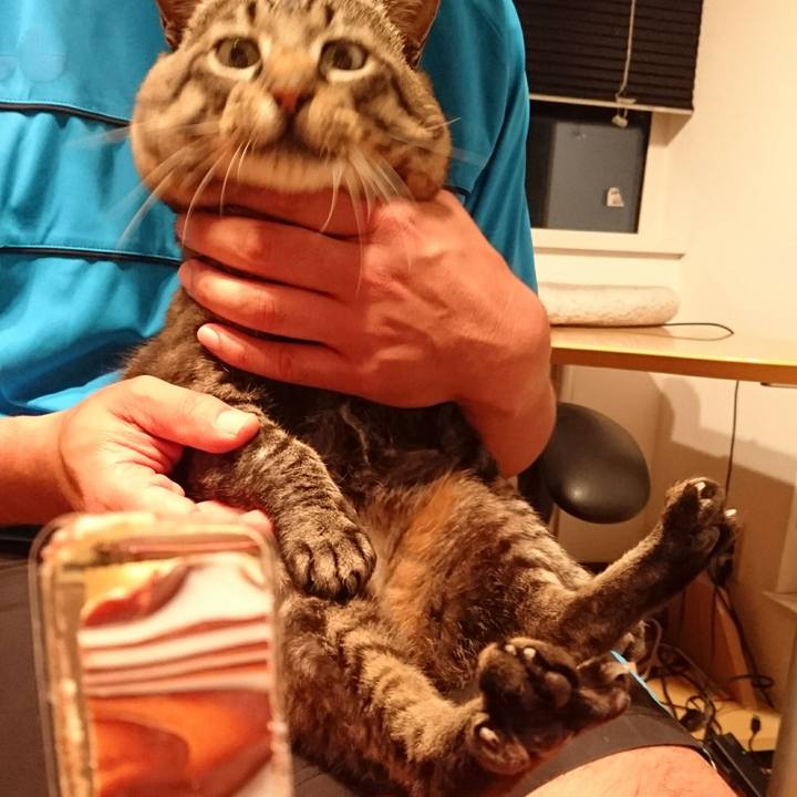 32401255 e08a 48d0 8d70 c7f0ffa09fd2