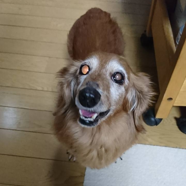 3240be10 348a 4c15 9996 adafe3e16cda