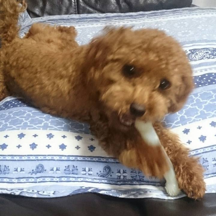 32410a41 4606 4b64 b1ac daa27177ecb9