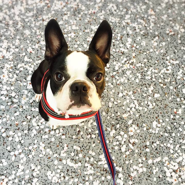 32417213 5eea 4801 aef7 26402f9f31ac