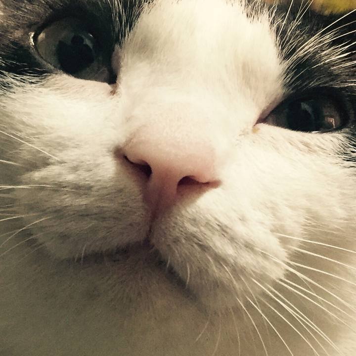 324178f4 a8a8 4c20 a860 9a8aab3e6bfd