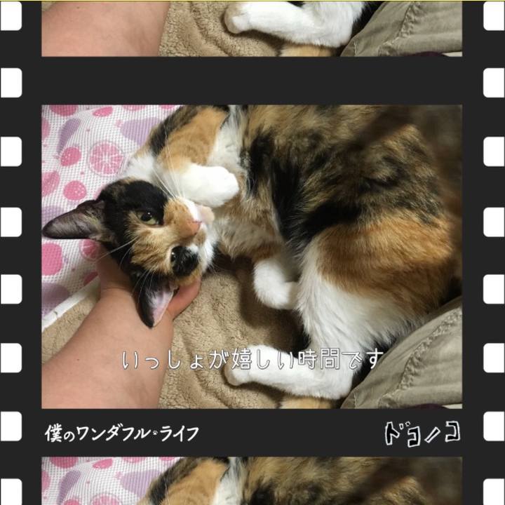 32419451 27d7 4200 b4f3 4854fc404c20