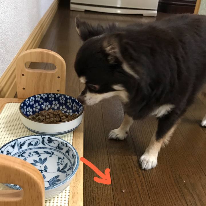 3241b57c 8edc 47a0 9467 1ca1b70579c8