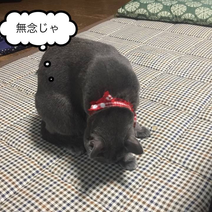 32423864 1ac0 4307 b1fa 0d30b0ba0702