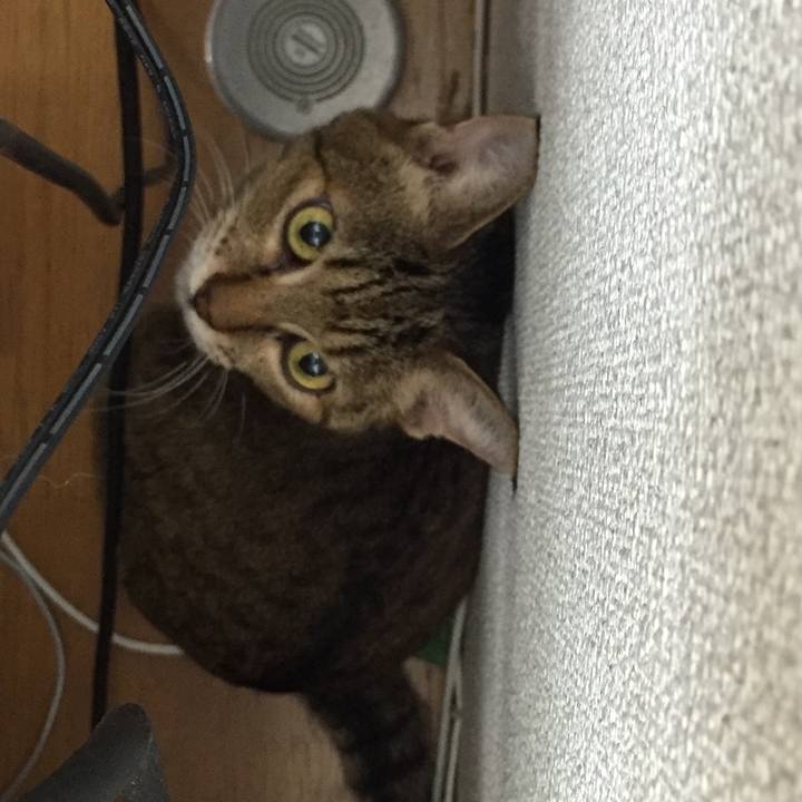 3242495d f896 432f 8390 0e06280d4c90