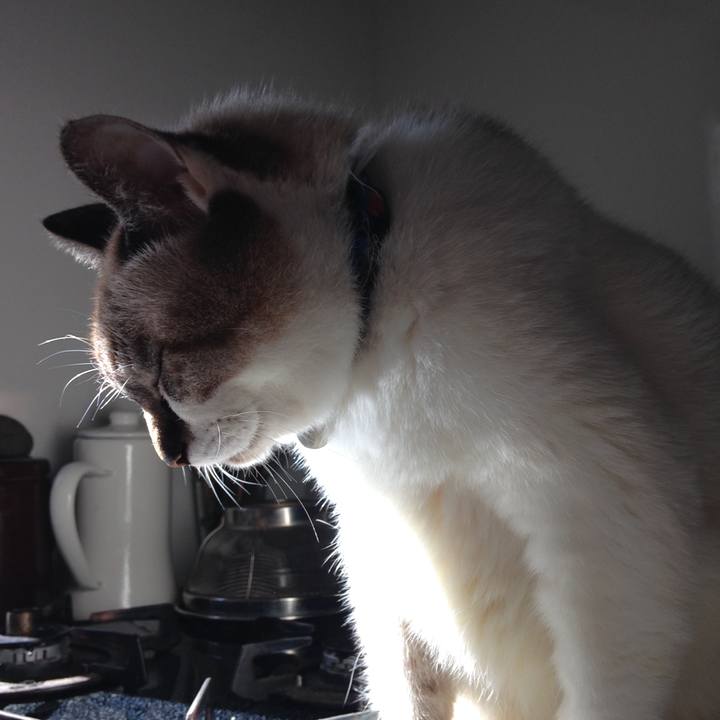 3242c81a cef0 4e7e 9fdf c08a55340b23