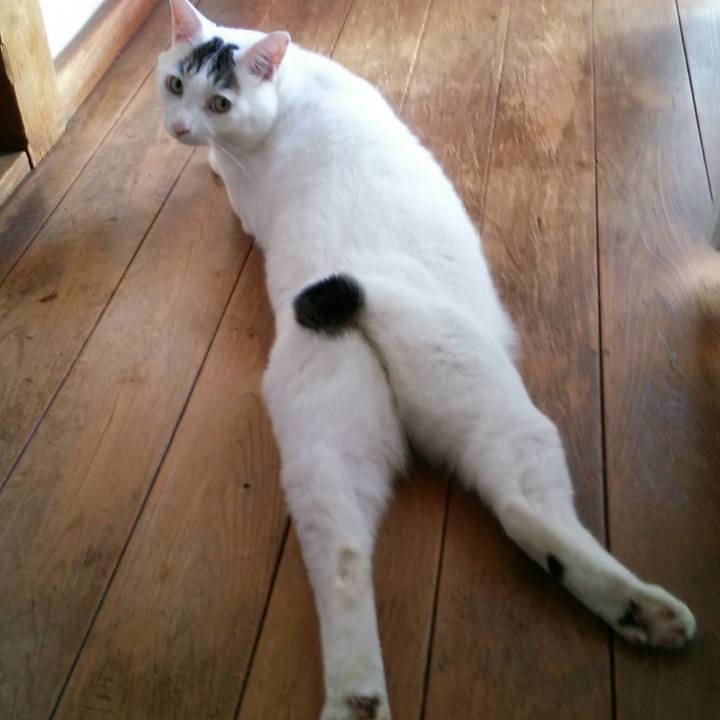 3242d7a1 5f07 4b42 9dfa 44d8ca848e32