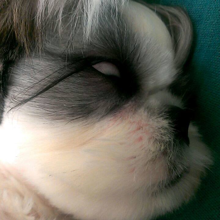 3244a2e6 2c5c 422b 9ccb ea79a1b94309