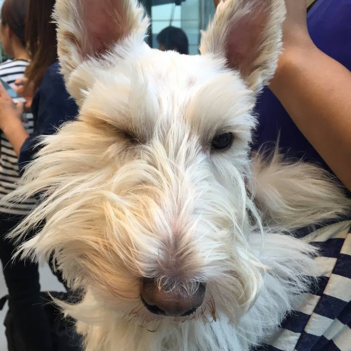 3244a451 0d86 408d 8d5b becd37a20eb8