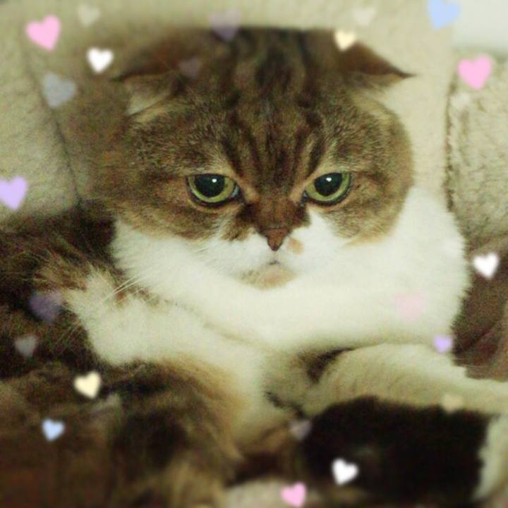 3246a3d3 e41e 4a61 b95e 71a07236612a