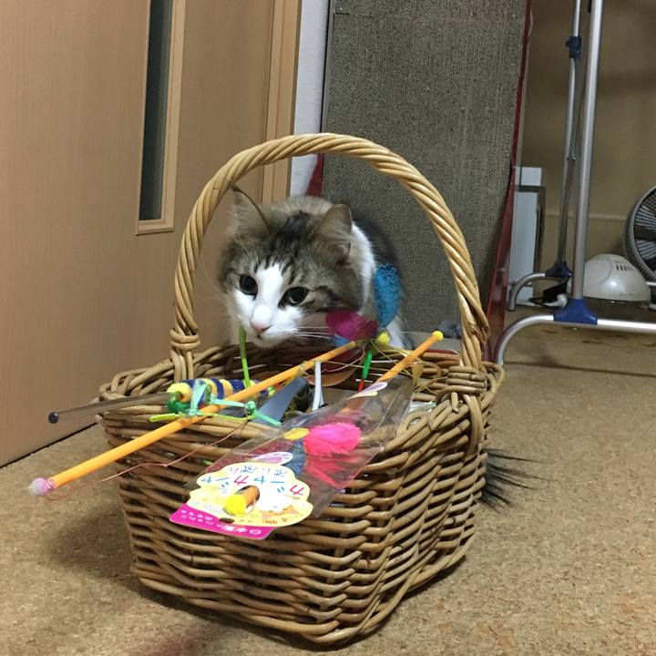 3246c7e1 9405 4fad b287 34b1f501d453