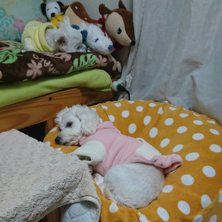 32470b62 12fd 4cb2 96f9 d2a524574800