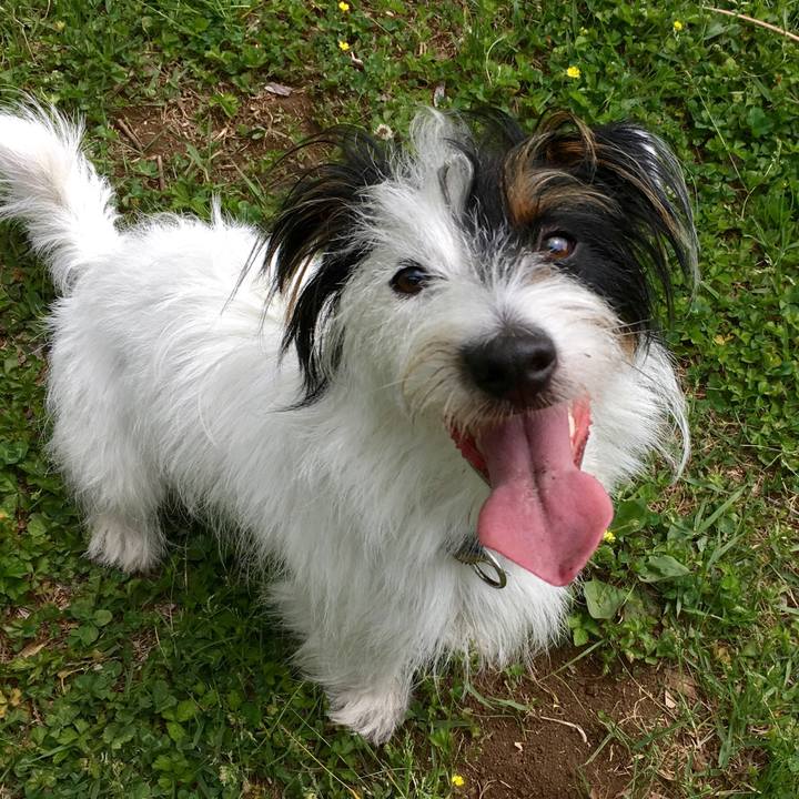 32471a43 9fc6 4aba 9e95 773a730dc7d0