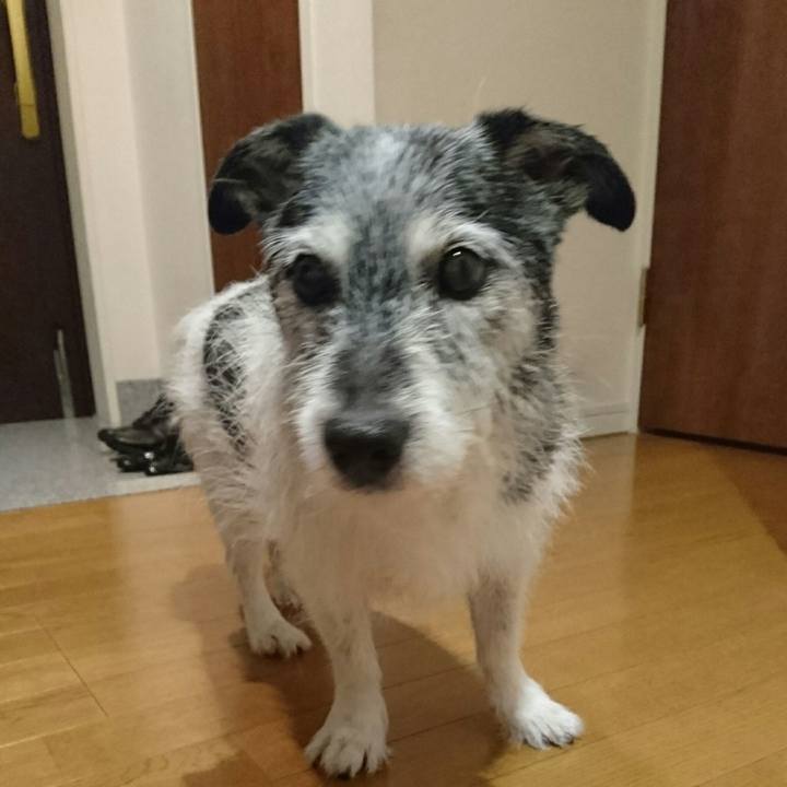 32476a3f 9589 4498 8068 dbaa0a28850f