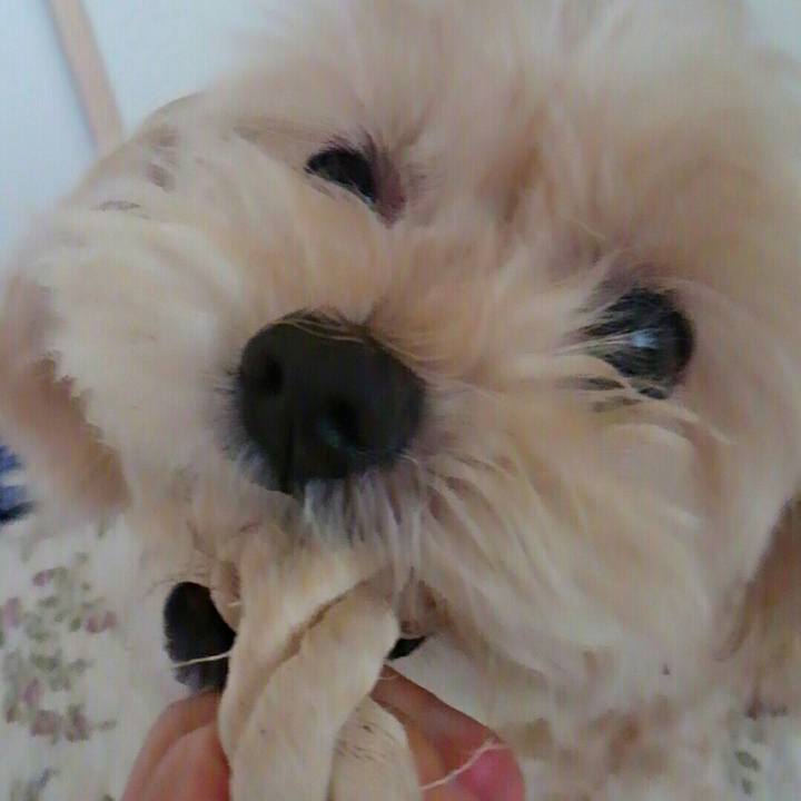 324773ca 9158 4a91 bbb7 5caa3f5fae9c