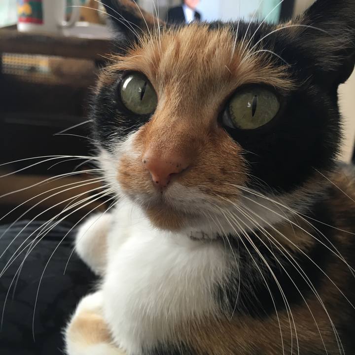 324796d0 0576 433d 811a e6baa91d4aaa