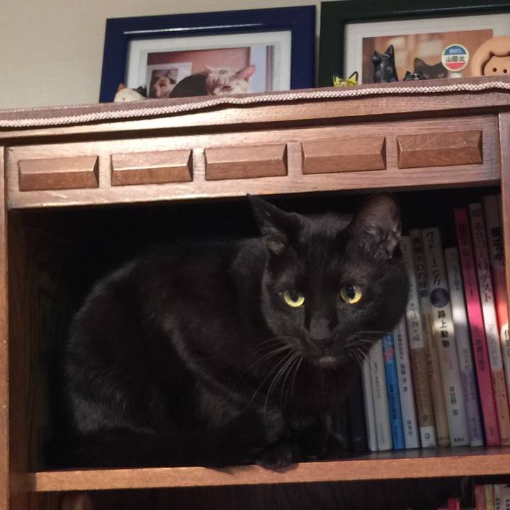 3247a8e4 a404 444c ae38 34d42a14c46c