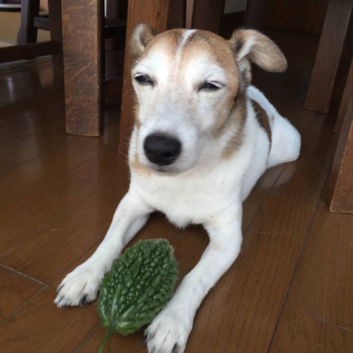 3247a935 49f8 4225 a3c0 7530d36bd775