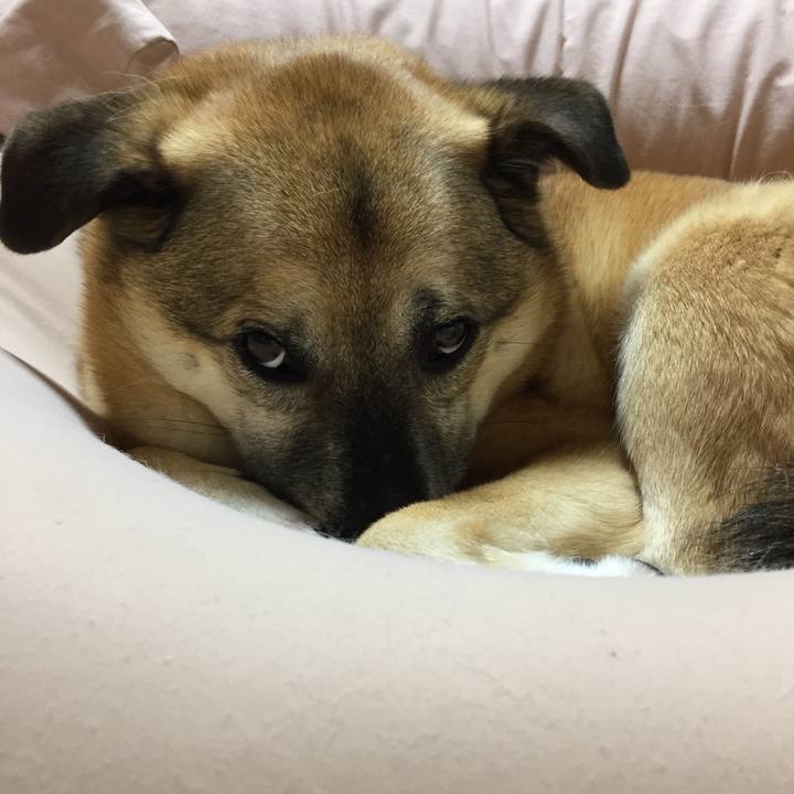 3248229e ed8d 496c 84b5 7775d4501584