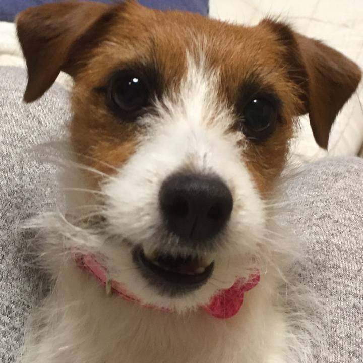 32488235 4820 4e67 9446 36e61c8e8ff8