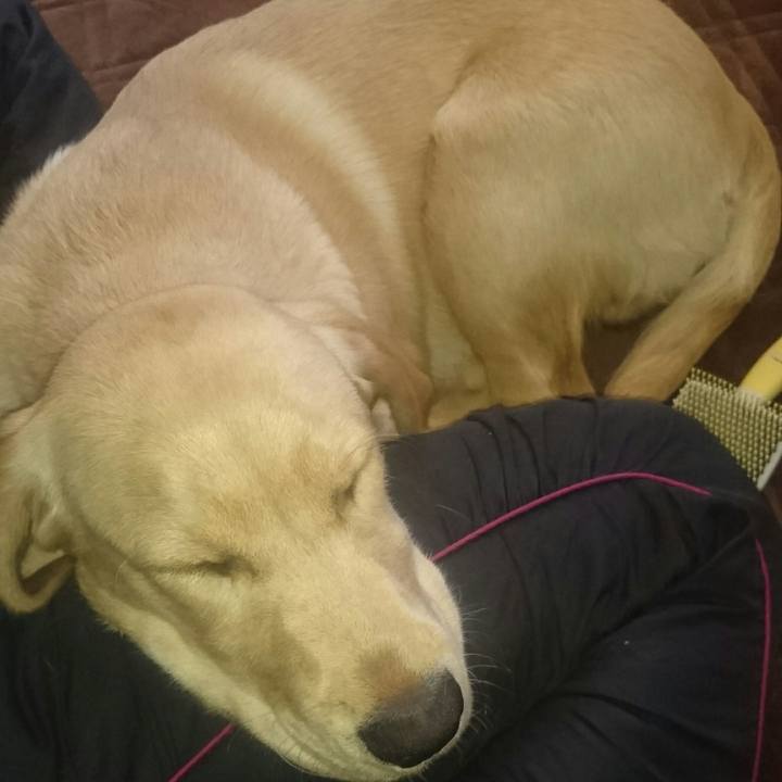 3248a4ca 18f5 4694 8fbb 5de8d0836fe9