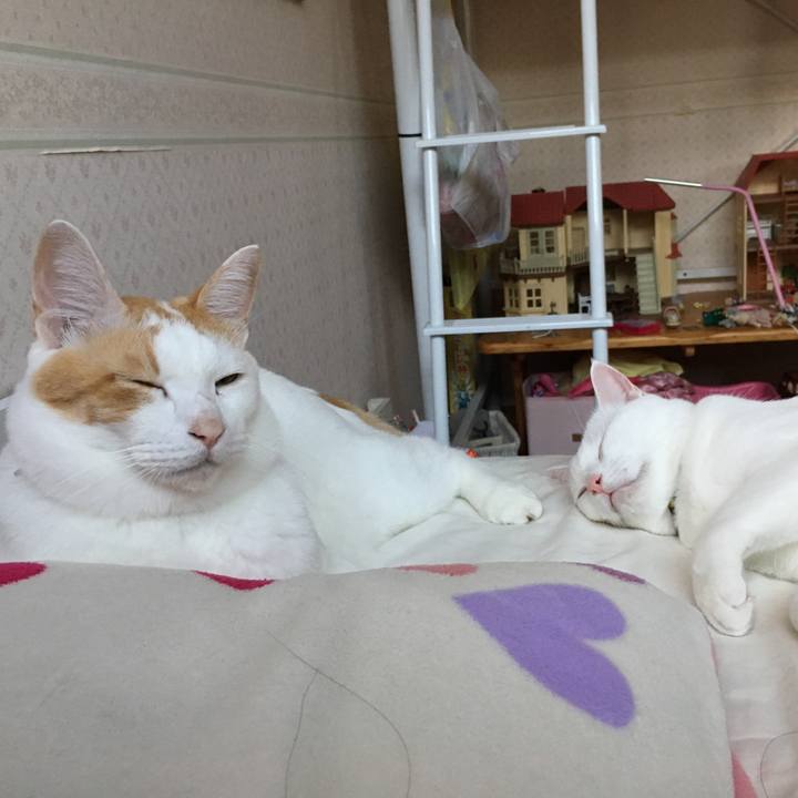 3248ff03 671f 4295 bd14 9803134e28b3