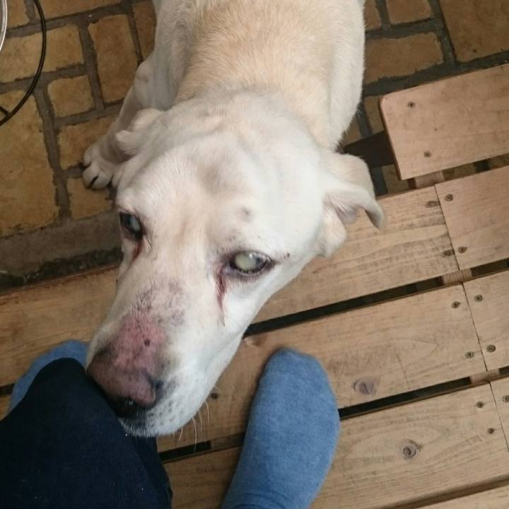 324997c8 3874 4c7b a541 1cd1964b04bb