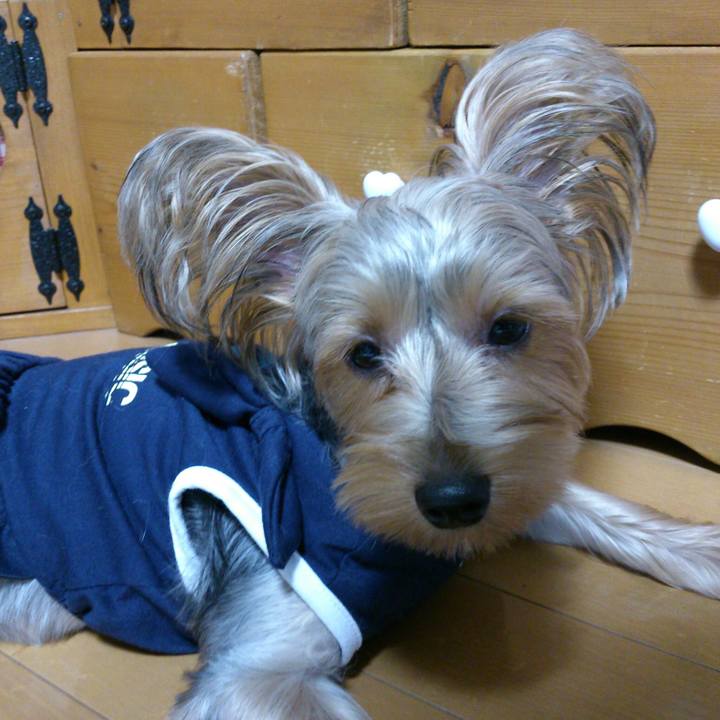 3249c993 9f35 448f 83ac 9fa126e4c554