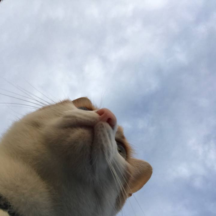 324a26df e14b 4df2 b2e1 888a1c71f3da