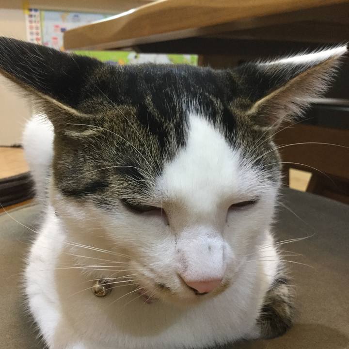 324a92bd 3ba1 45a2 9786 6f78f583acea