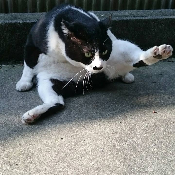 324aa062 e443 4062 8a0f 6781ec40db95