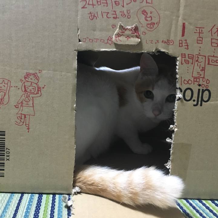 324aa2fa a86c 4190 93e1 e9e6b21f032d