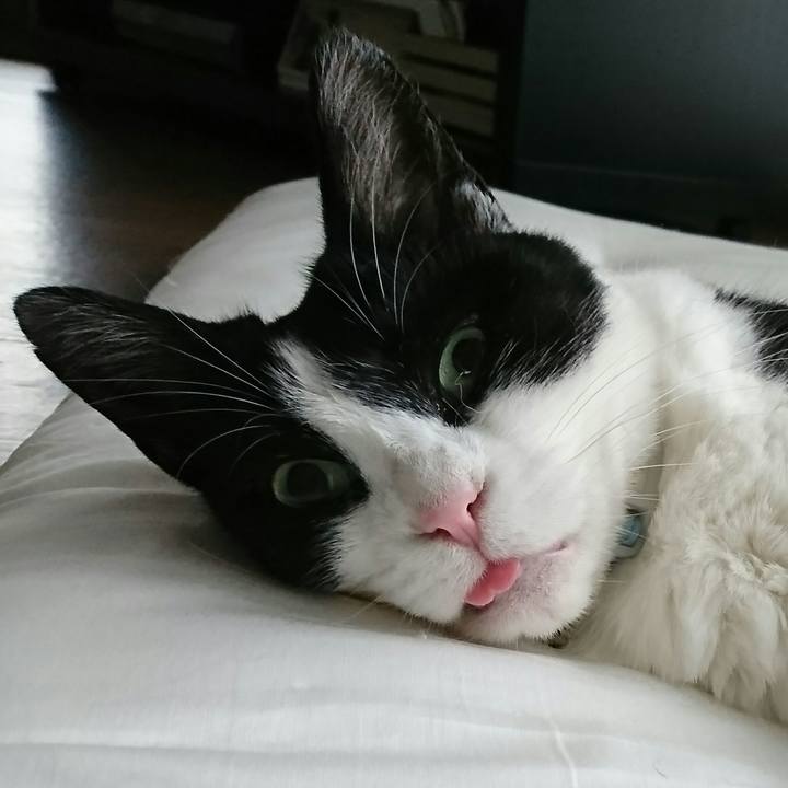 324aebf7 db86 49fd a1b7 865449bacc0e