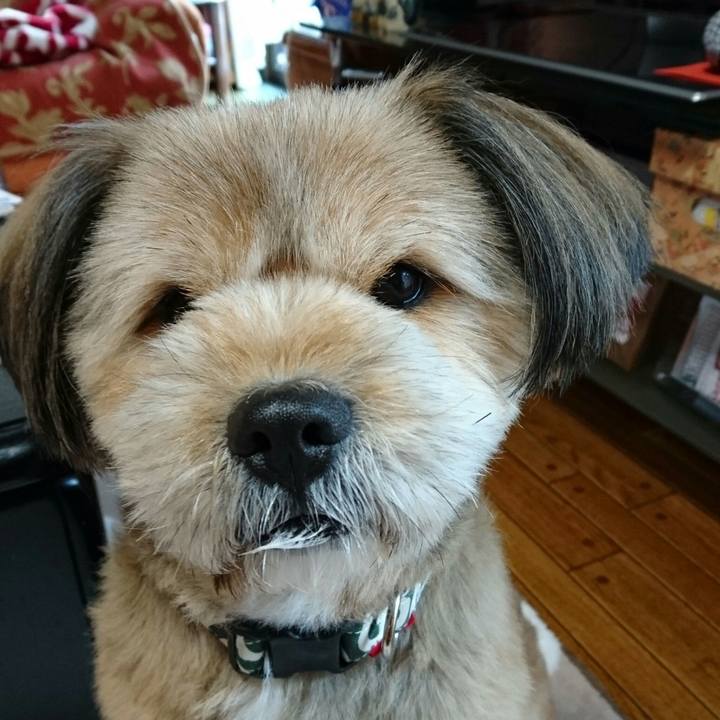 324afe16 f6c2 49c7 97ab 9ea03d72b396