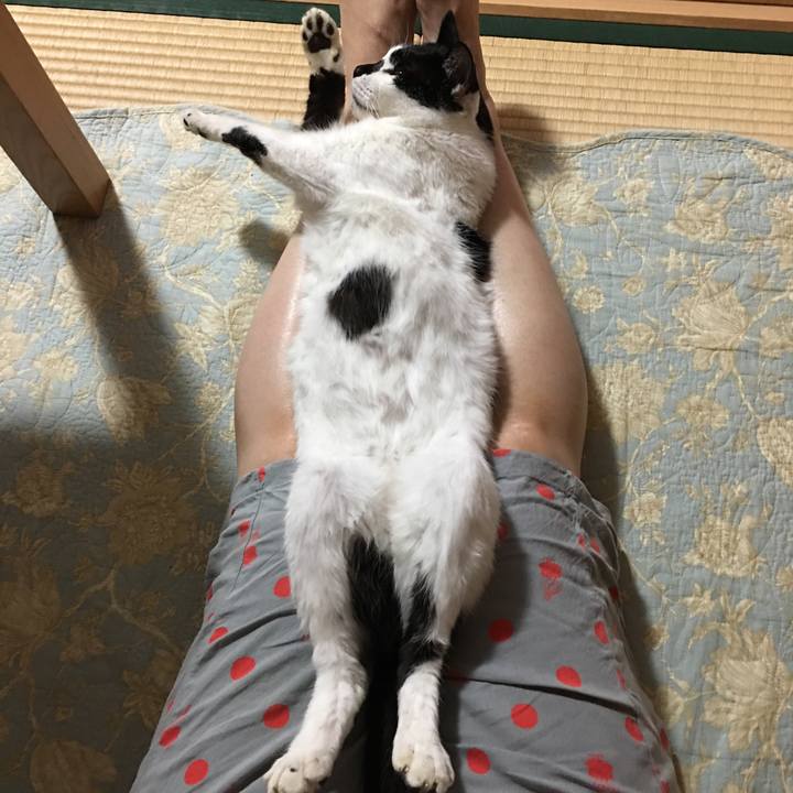 324b140a fc0b 4446 9639 2d8ede0c727a