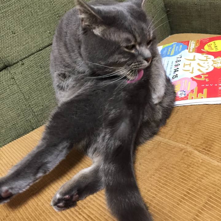 324b8fb0 01b1 4c24 96d1 6f7c4601a7df