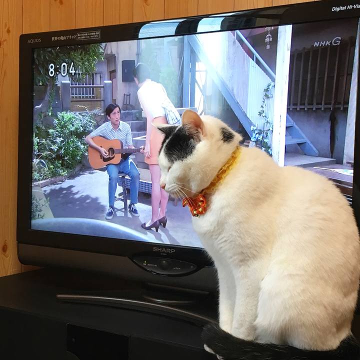 324bed2d cbcd 4605 a007 fb36c4385412