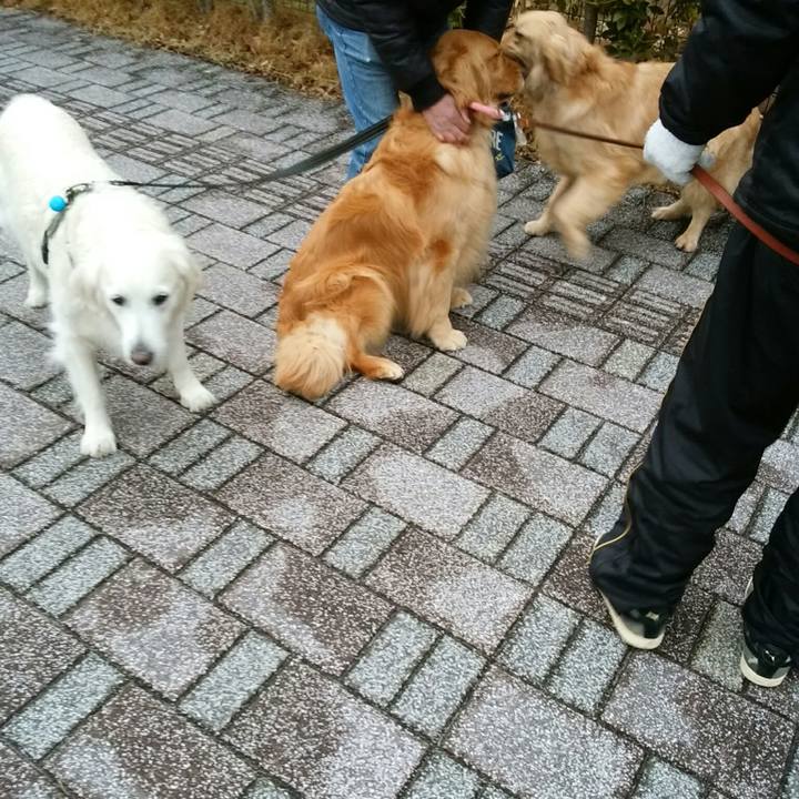 324bef90 2bc2 4b84 95ec 407ca6350050