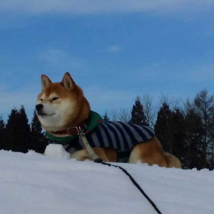 324c1157 bdd2 4f4e b5e0 49771aa0cfa7