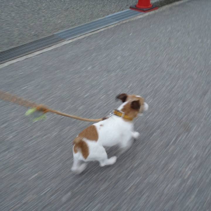 324c32cf 6be0 4a9d ad0a 5200abe82a86