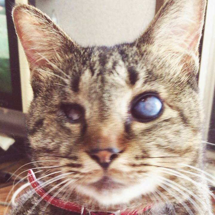 324d0194 1aa8 4ce1 a929 8c524fdea07c