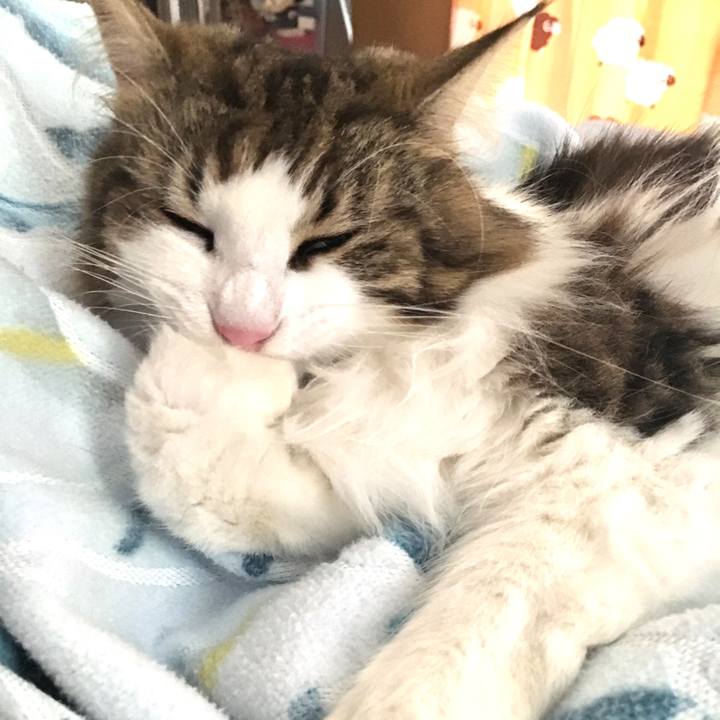 324db5a9 d88d 4187 9f69 bc3bb18525ea