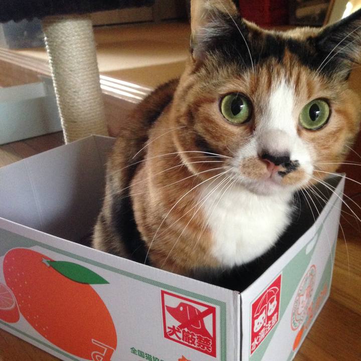 324df372 cbc1 4dfd 90ac 7d2566ea598a