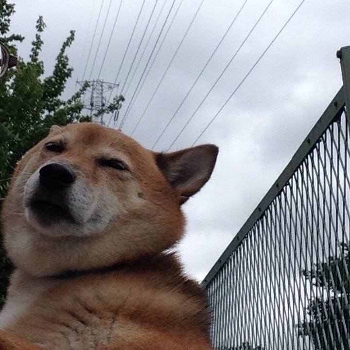 324e2911 8366 4d46 bf4b 38b366336432