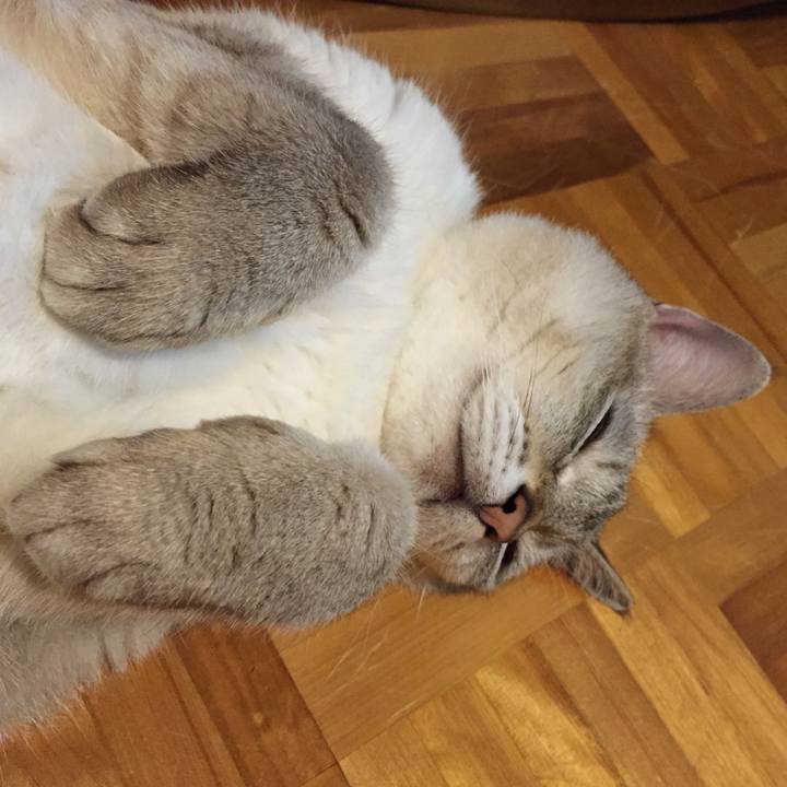 324e9076 aa2c 4662 83a9 12c9e5e74530