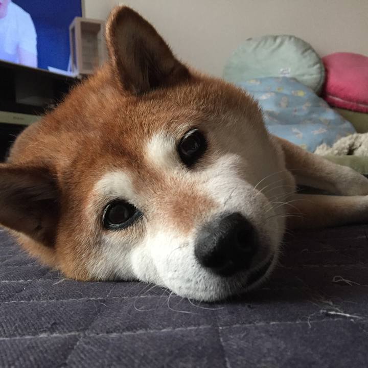 324f6d04 1a7d 4ab7 a5df d24aaa2460ae