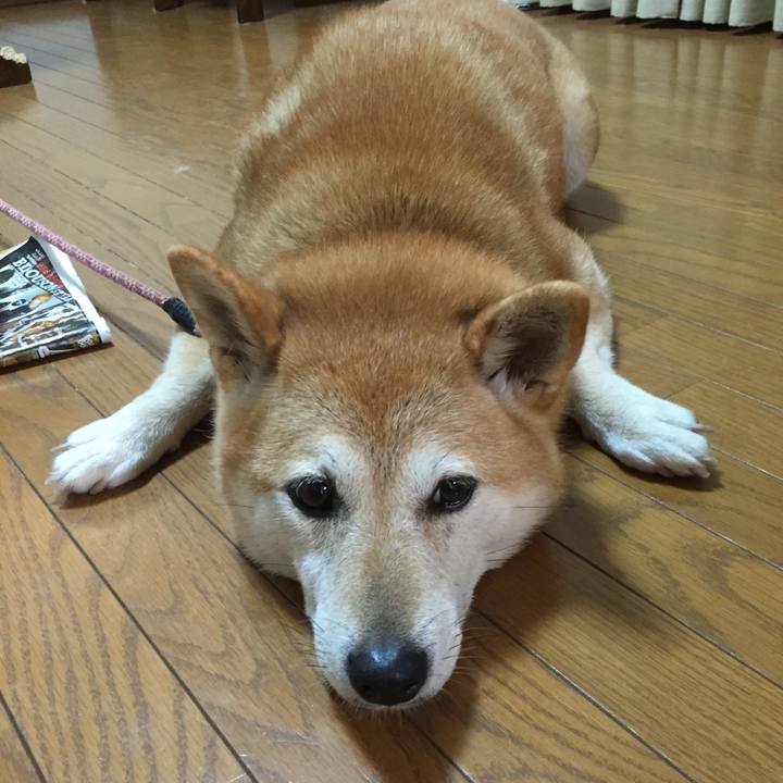 324f7617 02e9 47b2 ac36 517a0bf8009a