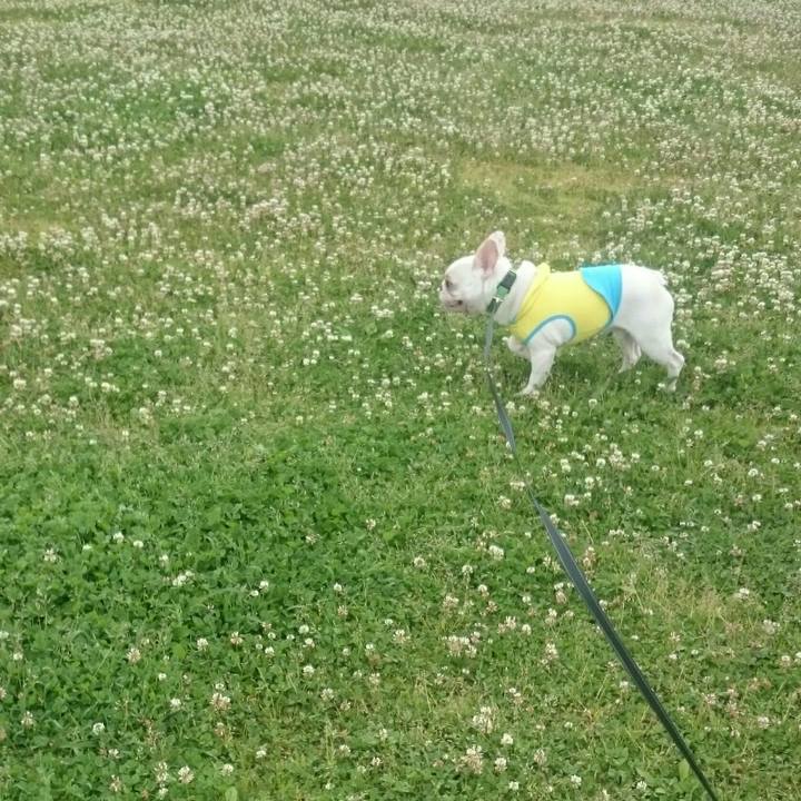 324f9489 0e25 440b aa59 65d50d06215b