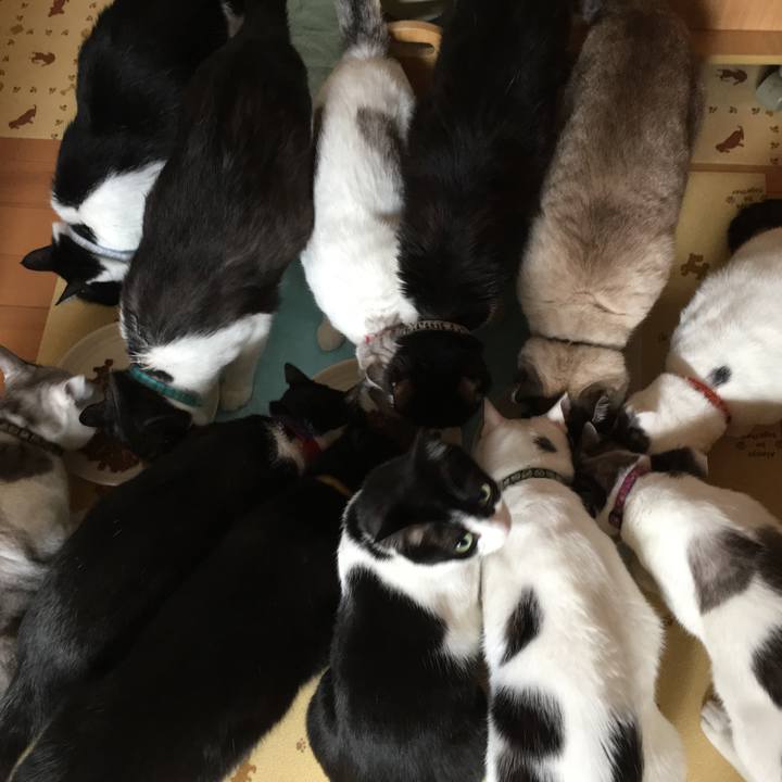 325017f4 624b 43a3 8226 4a42be6109a8